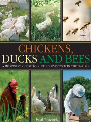 cover image of Chickens, Ducks and Bees